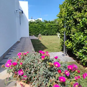 Endless Summer Fontane Bianche